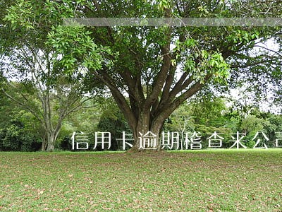 信用卡逾期稽查来公司合法吗 信用卡逾期稽查来公司合法吗