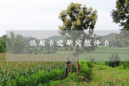 信用卡逾期突然停卡 信用卡逾期突然停卡
