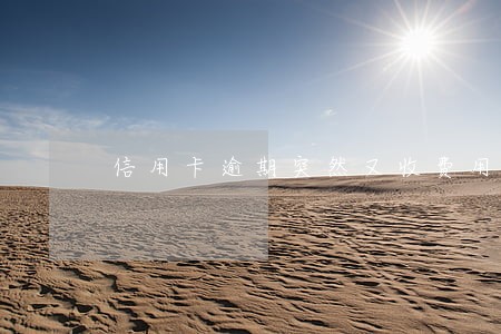 信用卡逾期突然又收费用