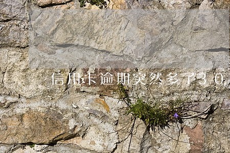 信用卡逾期突然多了3000元 信用卡逾期突然多了3000元