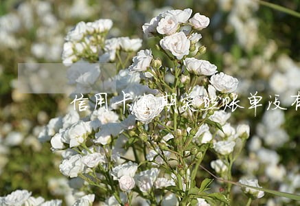 信用卡逾期突然账单没有了