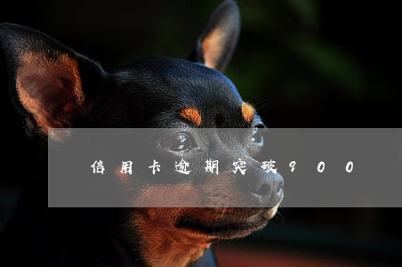 信用卡逾期突破900 信用卡逾期突破900