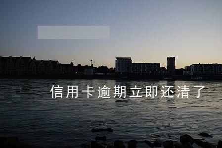 信用卡逾期立即还清了 信用卡逾期立即还清了