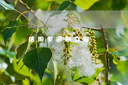 信用卡逾期立安 信用卡逾期立安