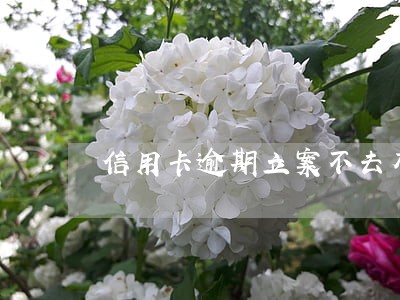 信用卡逾期立案不去有事情么 信用卡逾期立案不去有事情么