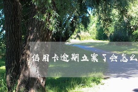 信用卡逾期立案了会怎么样