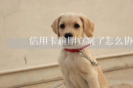 信用卡逾期立案了怎么协商 信用卡逾期立案了怎么协商