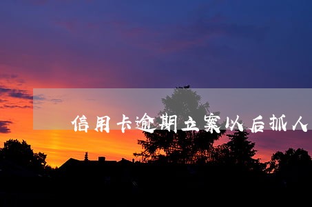 信用卡逾期立案以后抓人么 信用卡逾期立案以后抓人么