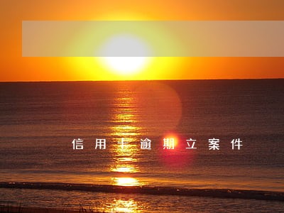 信用卡逾期立案件