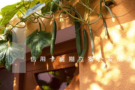 信用卡逾期立案会发信函吗 信用卡逾期立案会发信函吗