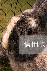 信用卡逾期立案会影响子女吗 信用卡逾期立案会影响子女吗