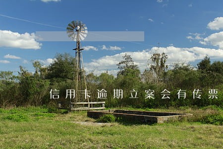 信用卡逾期立案会有传票吗 信用卡逾期立案会有传票吗