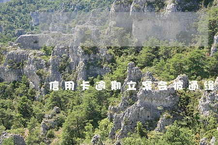 信用卡逾期立案会被通缉吗