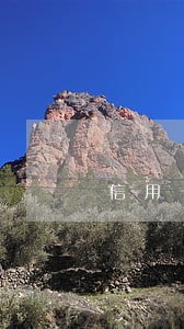 信用卡逾期立案保释 信用卡逾期立案保释