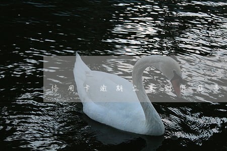 信用卡逾期立案到开庭多久时间