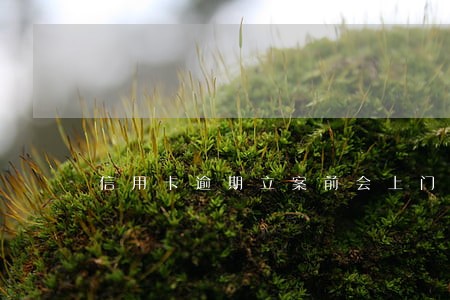 信用卡逾期立案前会上门吗