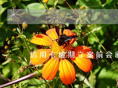 信用卡逾期立案前会通知吗 信用卡逾期立案前会通知吗