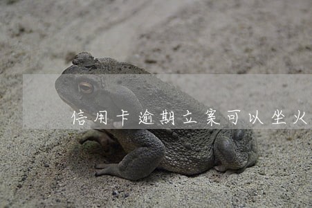 信用卡逾期立案可以坐火车吗 信用卡逾期立案可以坐火车吗