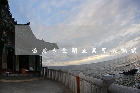 信用卡逾期立案可以撤销吗 信用卡逾期立案可以撤销吗