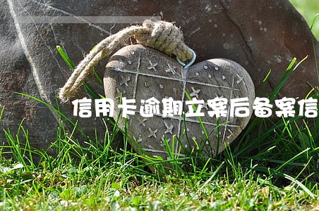 信用卡逾期立案后备案信用卡 信用卡逾期立案后备案信用卡