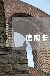 信用卡逾期立案后多久上法庭 信用卡逾期立案后多久上法庭