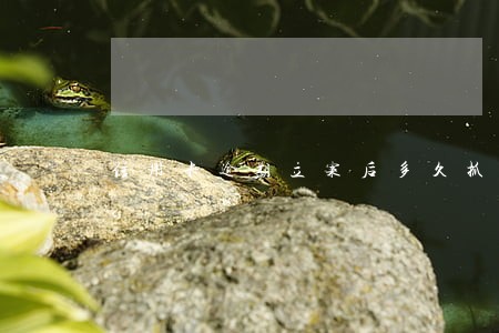 信用卡逾期立案后多久抓人论坛