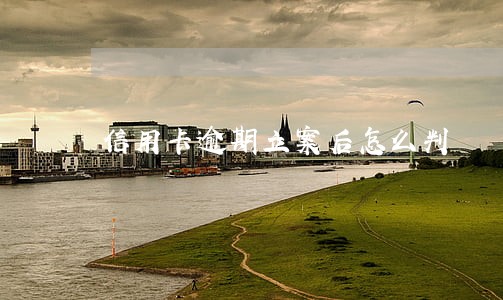 信用卡逾期立案后怎么判 信用卡逾期立案后怎么判