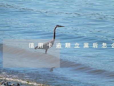 信用卡逾期立案后怎么处理 信用卡逾期立案后怎么处理