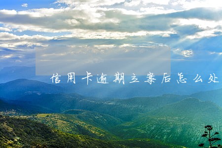 信用卡逾期立案后怎么处理最好 信用卡逾期立案后怎么处理最好