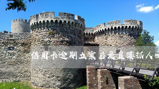 信用卡逾期立案后是直接抓人吗