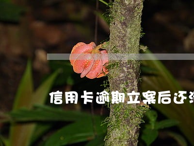 信用卡逾期立案后还清款会坐牢吗