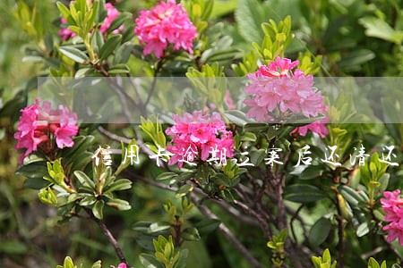 信用卡逾期立案后还清还会怎么样 信用卡逾期立案后还清还会怎么样