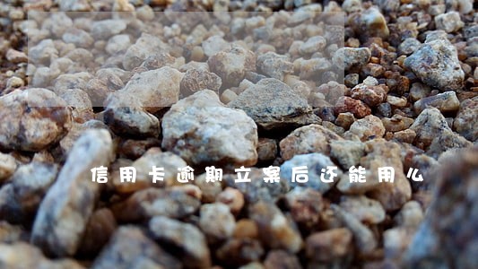 信用卡逾期立案后还能用么 信用卡逾期立案后还能用么