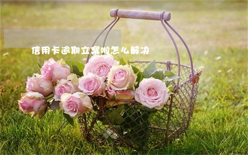 信用卡逾期立案啦怎么解决