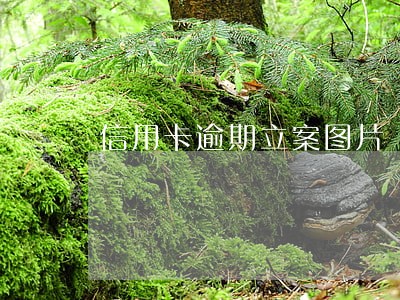 信用卡逾期立案图片 信用卡逾期立案图片