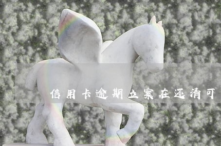 信用卡逾期立案在还清可以吗 信用卡逾期立案在还清可以吗