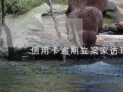 信用卡逾期立案家访可以协商吗 信用卡逾期立案家访可以协商吗
