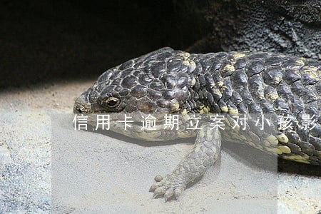 信用卡逾期立案对小孩影响 信用卡逾期立案对小孩影响