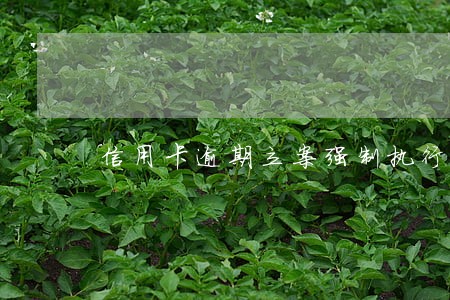 信用卡逾期立案强制执行通告