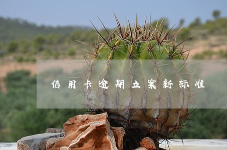 信用卡逾期立案新标准 信用卡逾期立案新标准
