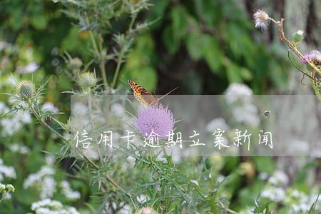 信用卡逾期立案新闻 信用卡逾期立案新闻