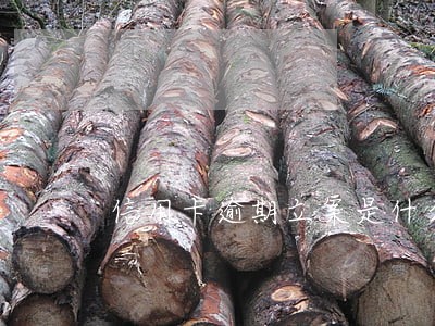 信用卡逾期立案是什么意思 信用卡逾期立案是什么意思