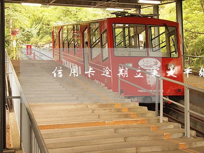 信用卡逾期立案是单张 信用卡逾期立案是单张
