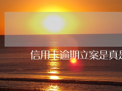 信用卡逾期立案是真是假