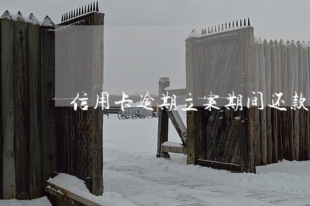 信用卡逾期立案期间还款 信用卡逾期立案期间还款