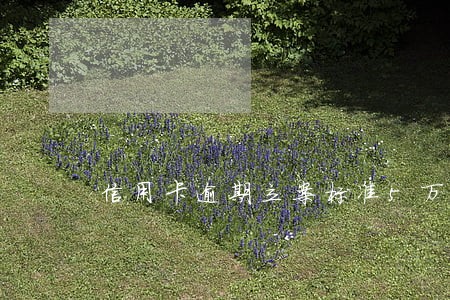 信用卡逾期立案标准5万 信用卡逾期立案标准5万