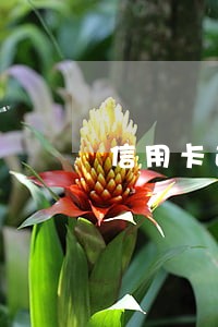 信用卡逾期立案格式 信用卡逾期立案格式
