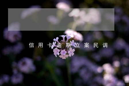 信用卡逾期立案民调 信用卡逾期立案民调