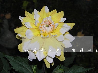 信用卡逾期立案程序标准