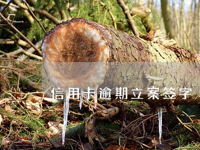 信用卡逾期立案签字 信用卡逾期立案签字